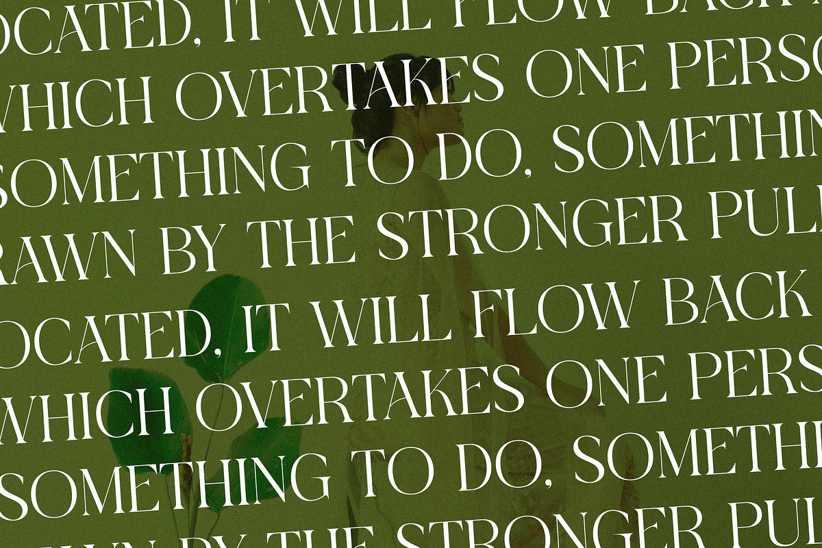 Blanvad Stylish Modern Serif, a Serif Font by Storytype Studio (Photo 8 of 15)