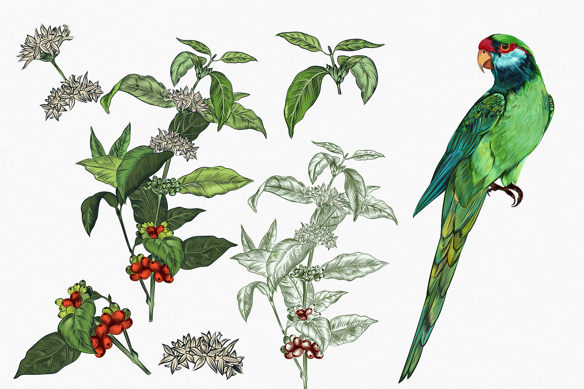 Rainforest jungle pattern parrots, a Wallpaper Graphic by FleurArt (Photo 5 of 10)