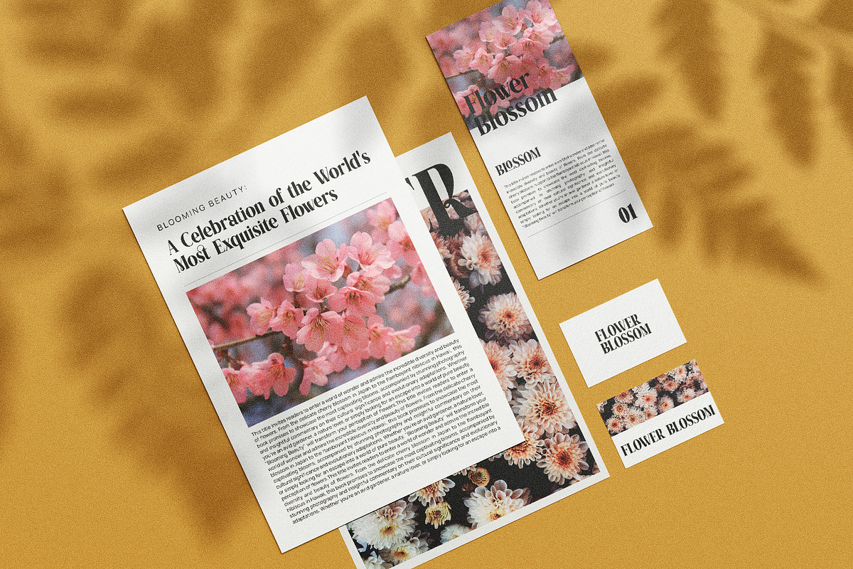 Mistar Elegant Serif Font, a Serif Font by Graphicxell (Photo 4 of 10)