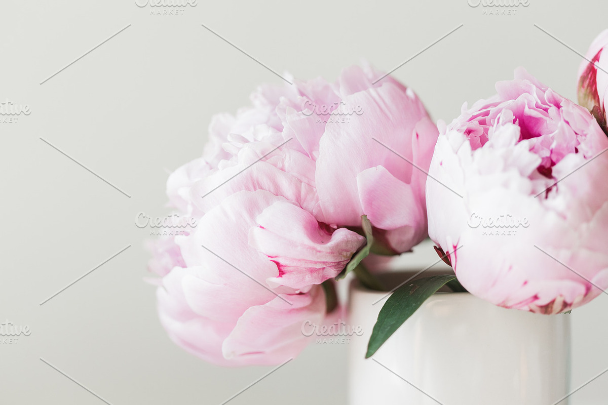 Pink Peony Bundle + 3 Bonus Images, a Nature Photo by Light & Grace (Photo 7 of 8)