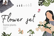 Flower collection, home plants, a Decorative Illustration by Yana_mide (Thumbnail 1 of 10)