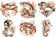 Watercolor Ocean Animals Clipart, an Illustration by Black Bird Studio (Thumbnail 4 of 5)