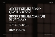 Giamlass - Unique Display Serif, a Serif Font by BrandSemut (Thumbnail 14 of 16)