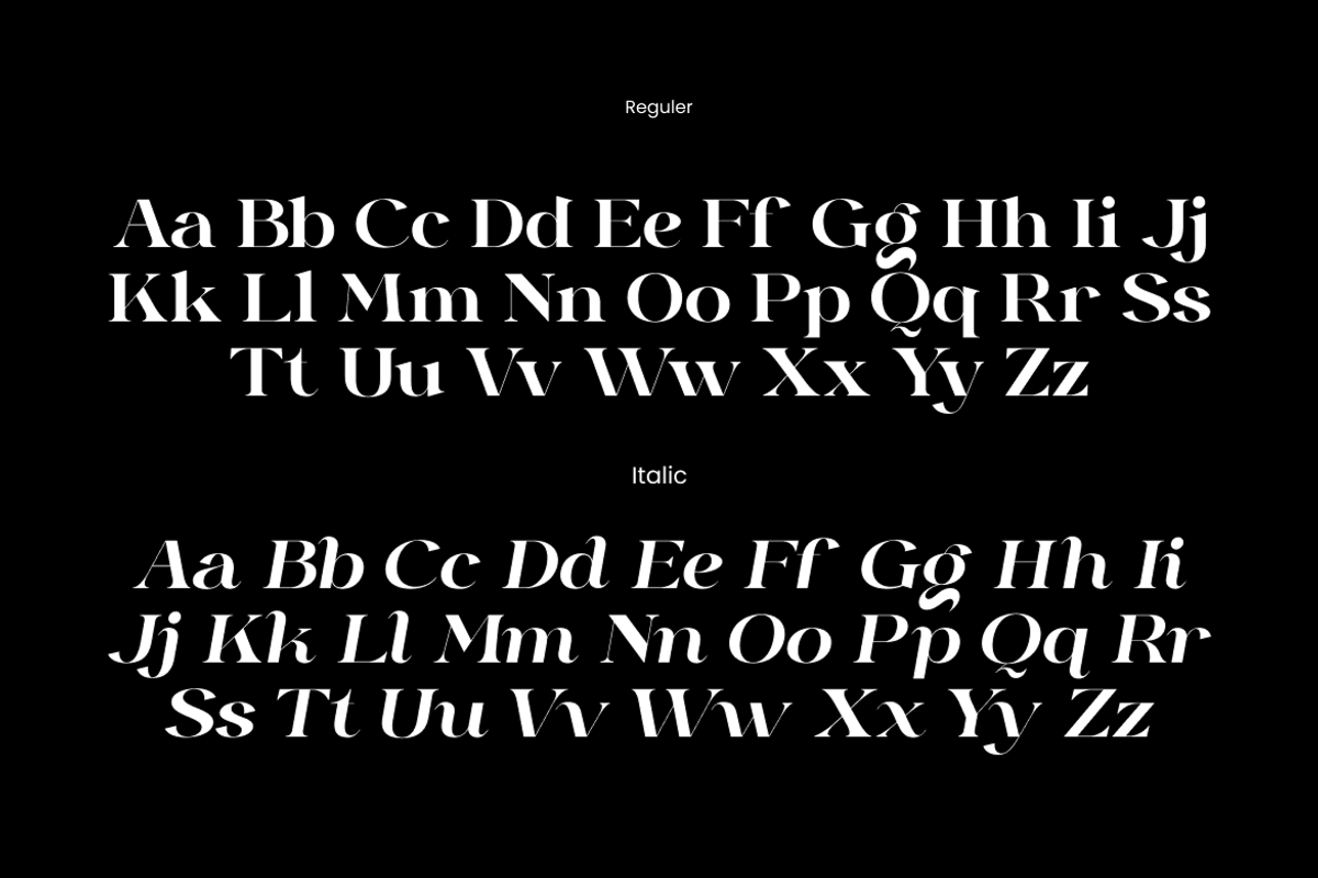 Maronier Modern Serif Typeface Font, a Serif Font by Rasio Studio (Photo 2 of 12)