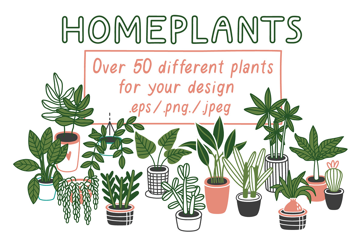 HOMEPLANTS | clip arts collection, a Decorative Illustration by Nastya Tkachova (Photo 2 of 11)