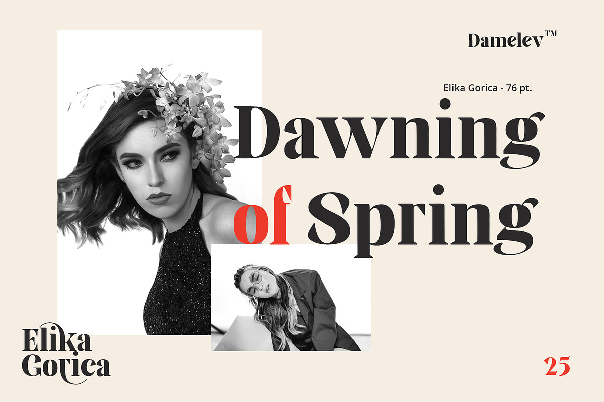 Elika Gorica, a Serif Font by Damelev (Photo 9 of 11)