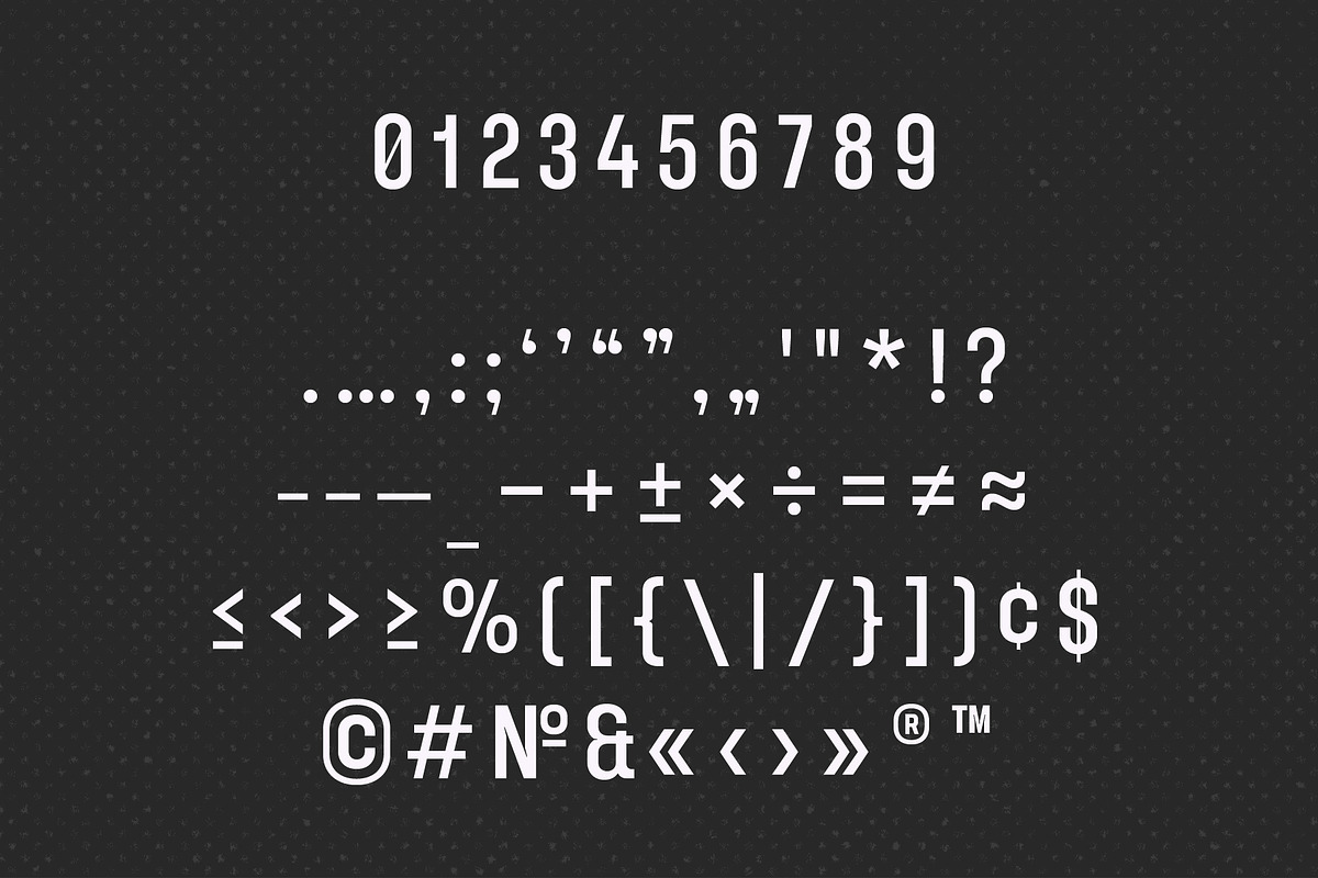 YNF Dustin | Condensed sans serif, a Sans Serif Font by YNF (Photo 4 of 26)