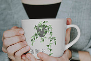 Indoor Plants, Vector Set, an Object Graphic by JSolomatina (Thumbnail 7 of 13)