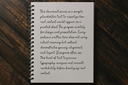 Palmer Cheerful | Script Font, a Handwritten Font by Typoraith Co (Thumbnail 9 of 10)