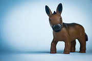 Happy Farm Animals, an Animal Photo by Compositor's Corner (Thumbnail 3 of 5)