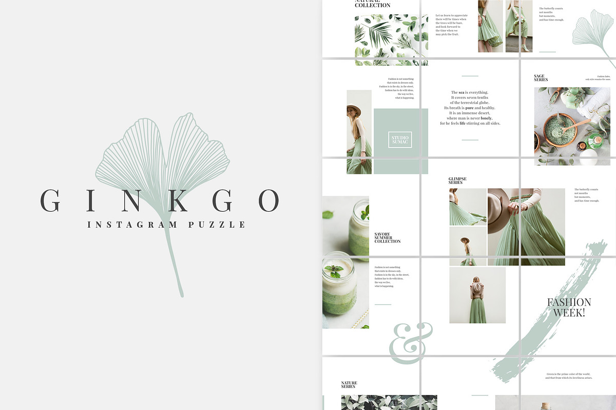 Ginkgo Complete Pack, a Presentation Template by Studio Sumac (Photo 6 of 10)