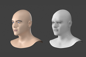 Natural Male Head 02 Generic Mesh