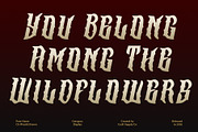 CS Wraith Drawn, a Blackletter Font by Craft Supply Co. (Thumbnail 3 of 8)