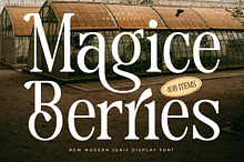 Magice Berries A New Modern Serif