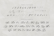 Nightshade – Elegant Calligraphy, a Script Font by Krismagraph (Thumbnail 8 of 10)