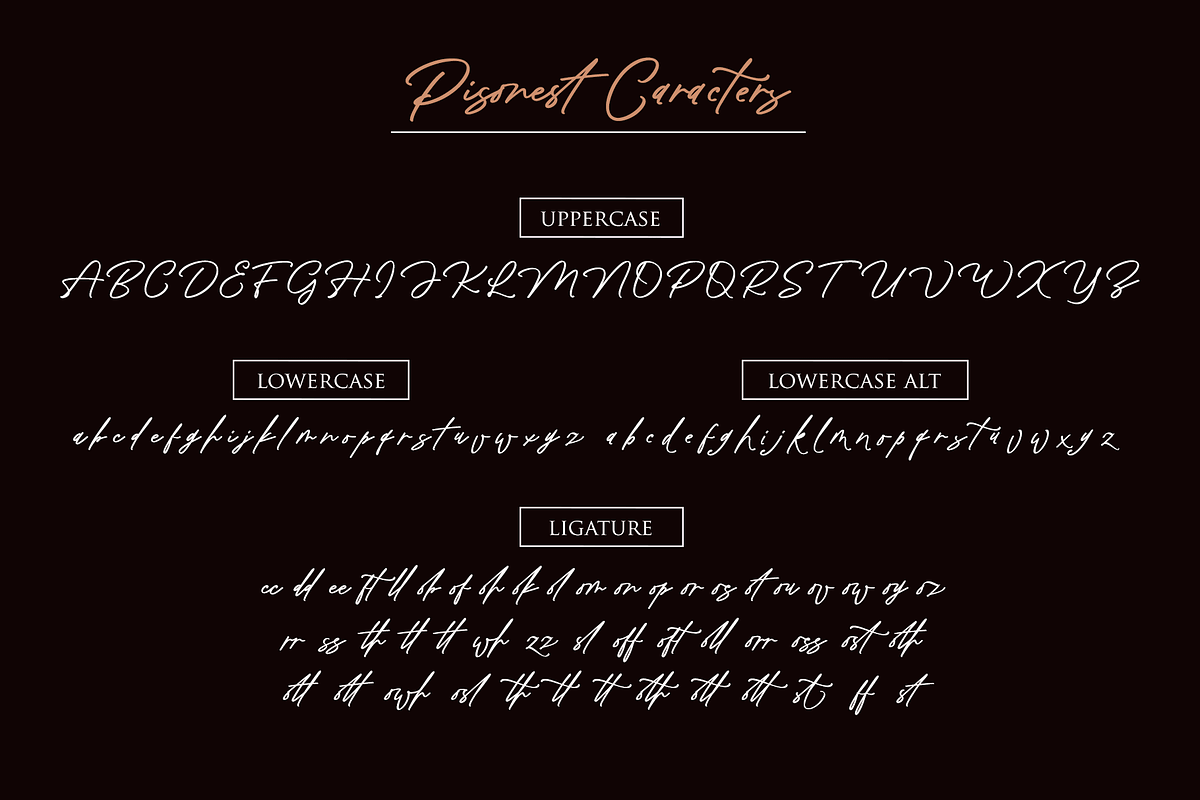 Pisonest (Glyph Central Europan), a Script Font by Meutuwah (Photo 9 of 10)