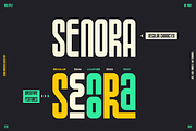 Senora Discount 20 Off, a Sans Serif Font by inumocca_type (Thumbnail 2 of 15)