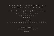 Thefang ligature serif typeface, a Serif Font by yaqublekker (Thumbnail 7 of 7)