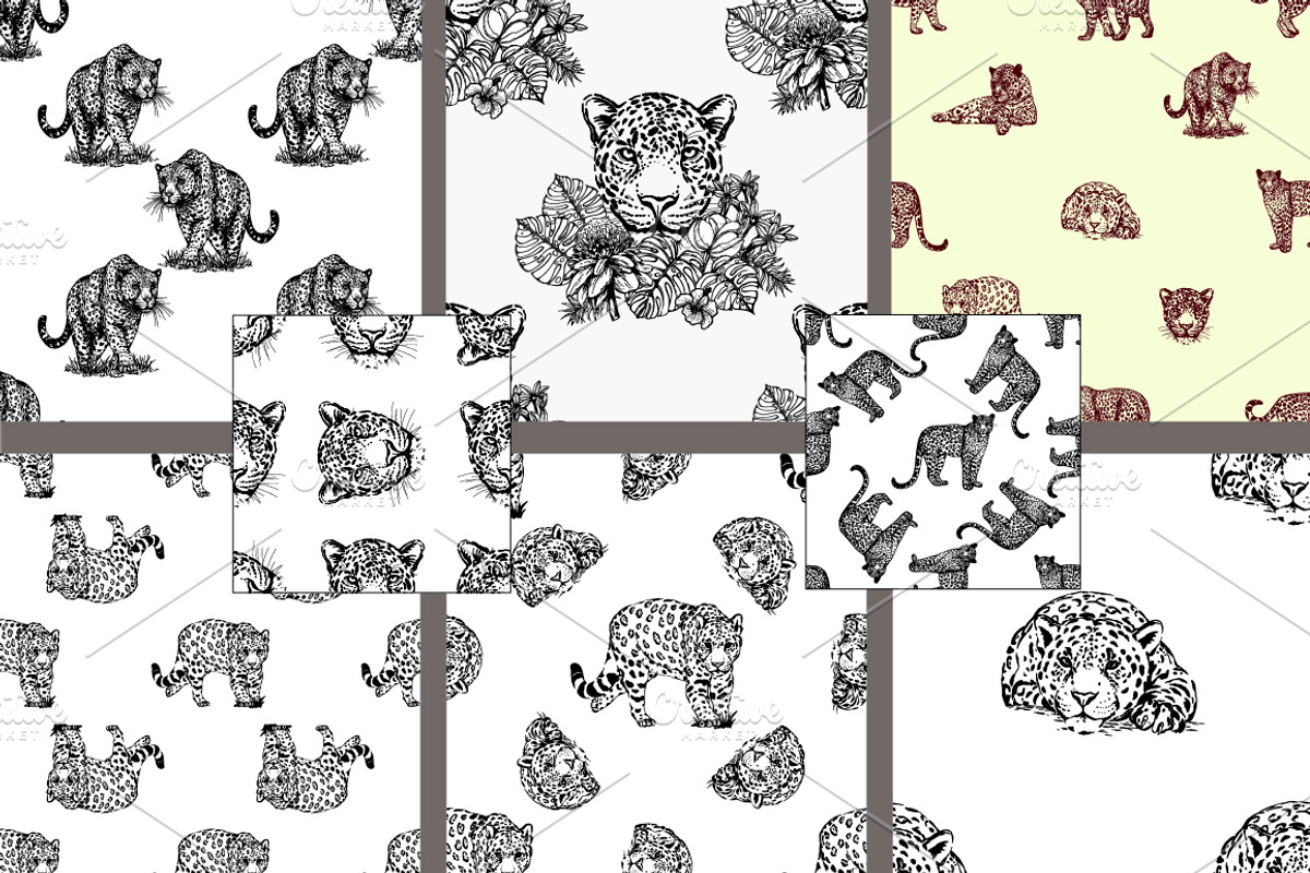 Leopards 5, an Animal Illustration by Ecaterina Sciuchina (Photo 3 of 3)