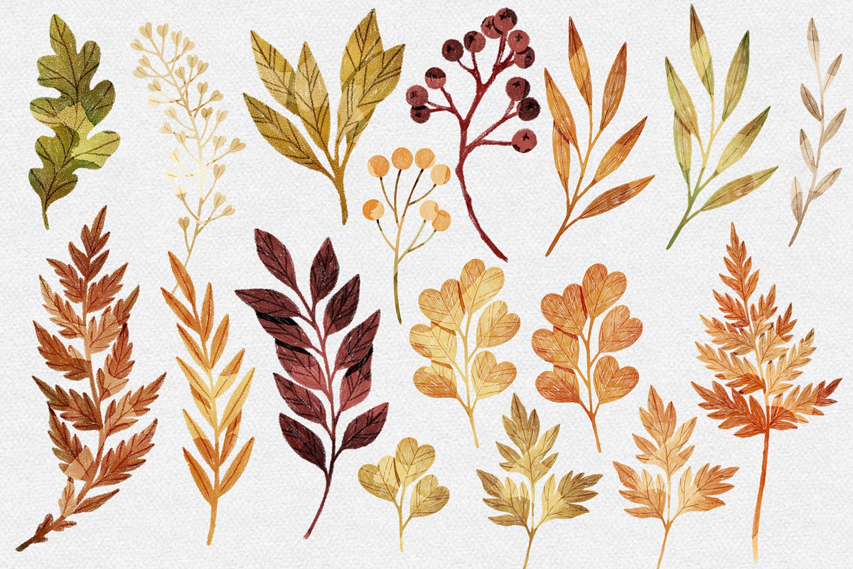 Botanical Bundle Nr 2 | Fall Edition, a Seasonal Illustration by Helga Wigandt (Photo 3 of 9)