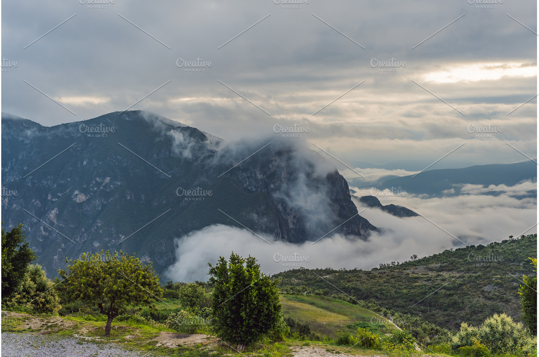 Misty mountains of the Sierra Madre, a Nature Photo by Elizaveta Galitskaya
