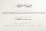 Night Weight Script, a Script Font by Nowlystudios (Thumbnail 7 of 9)