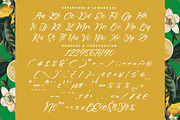 Mindful Angelic Modern Elegant Font, a Script Font by stylishtype.co (Thumbnail 17 of 19)