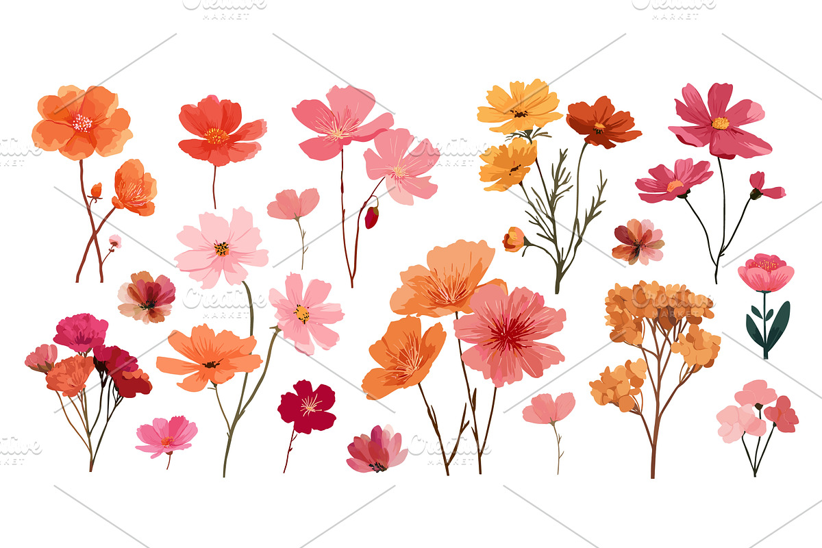 Wildflowers set. Orange pink yellow, an Object Illustration by Stock-Smart-Start