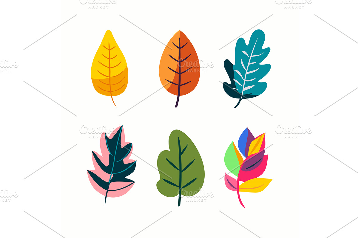 Six vibrant leaves vector, an Object Illustration by Vectorstockersland