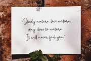 Maurichia, a Script Font by Pustudio (Thumbnail 7 of 9)