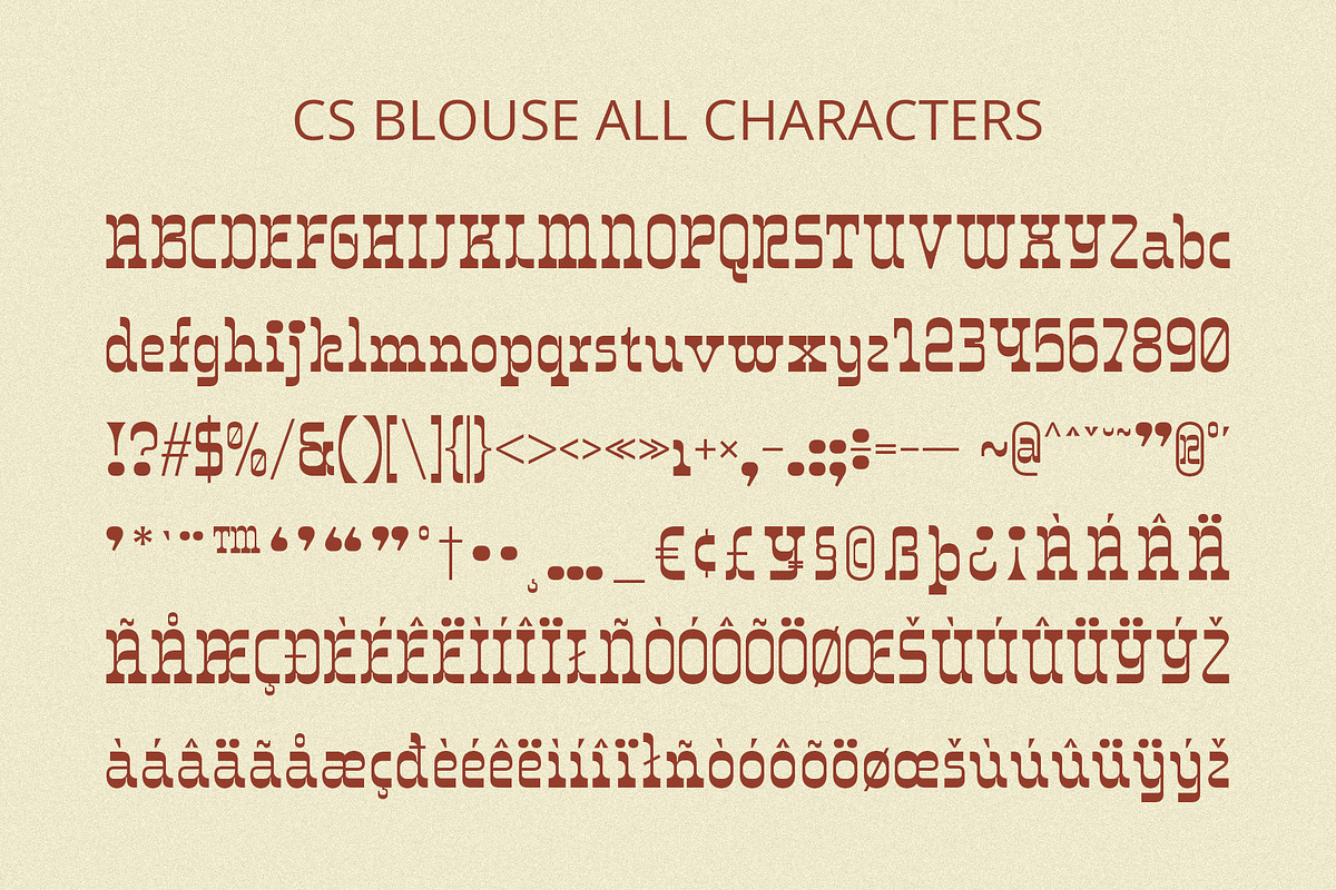 CS Blouse – Reverse Contrast Font, a Serif Font by Craft Supply Co. (Photo 8 of 8)