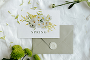 Spring mood - watercolor collection, a Seasonal Illustration by Youksy (Thumbnail 2 of 11)