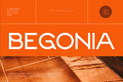 Begonia, a Sans Serif Font by khurasan (Thumbnail 1 of 6)