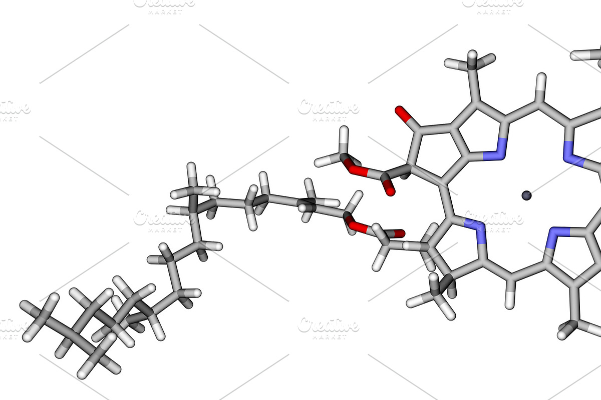 Chlorophyll A sticks molecular model, an Illustration by Leonid Andronov