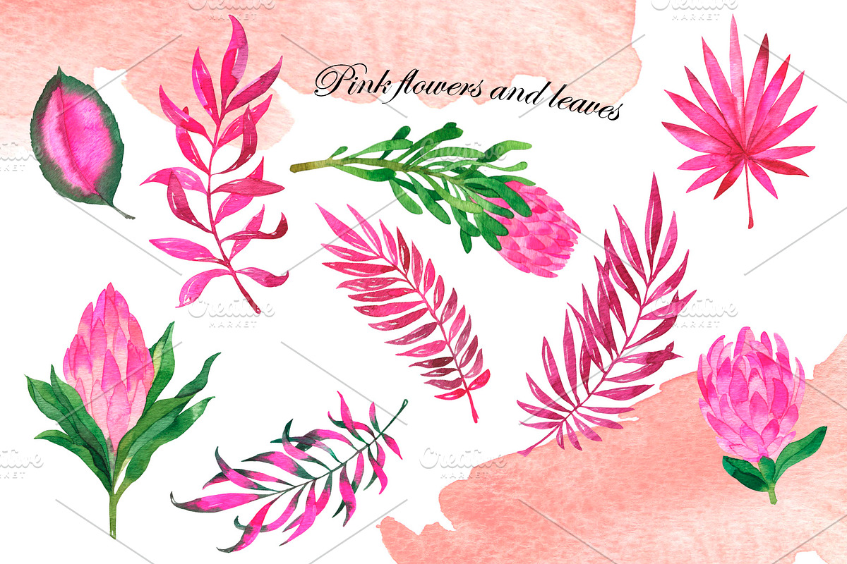 Watercolor jungle set, an Illustration by Watercolor & sketches (Photo 5 of 13)