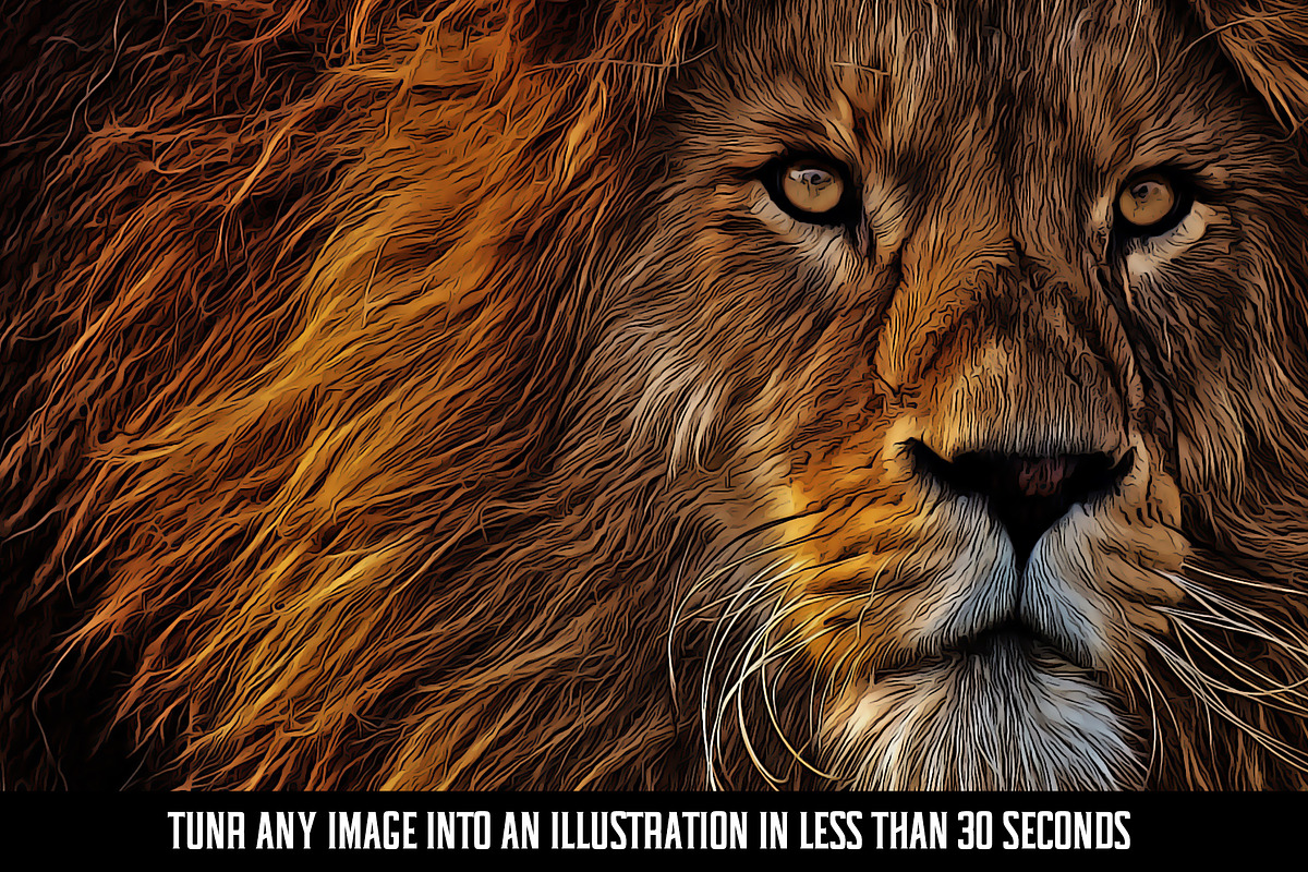 Easy Cartoon Illustration Effect, an Action Add-On by Dene Studios (Photo 7 of 21)