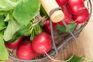 Fresh red radishes with green leaves in basket on wood, a Food & Drink Photo by Olena Rudo