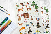 Woodland. Cute forest collection., an Animal Illustration by Kate_Rina (Thumbnail 14 of 15)