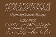 Awakening Gallop Modern Brush Font, a Script Font by stylishtype.co (Thumbnail 19 of 20)