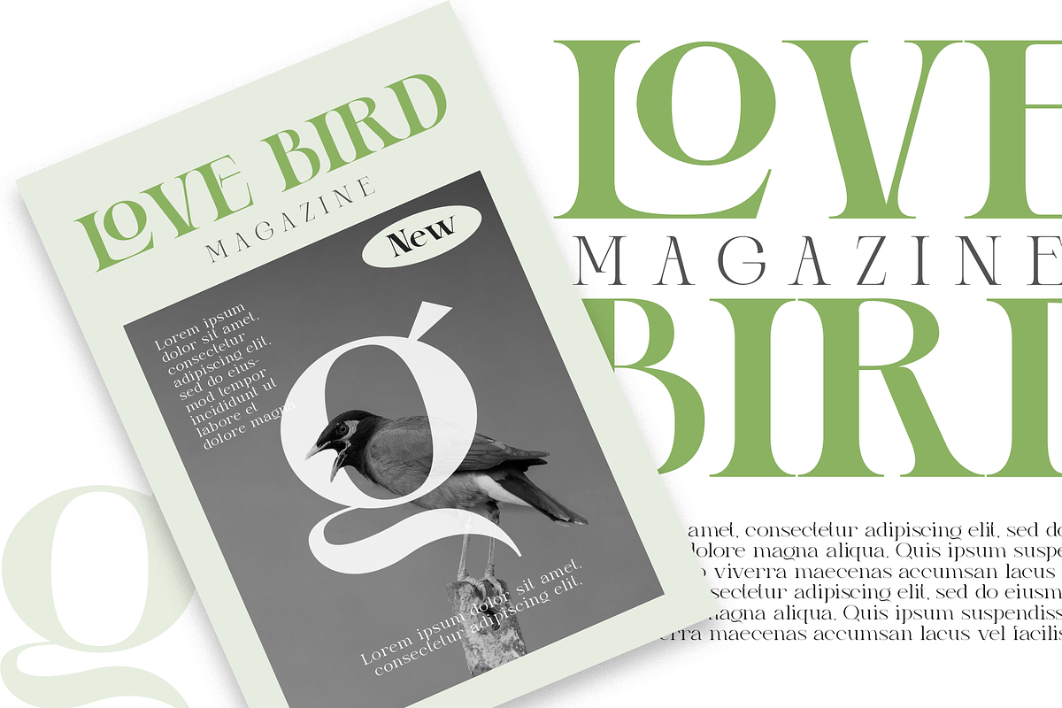 Gretha Family | 14 font family, a Serif Font by Jolicia Type (Photo 8 of 12)