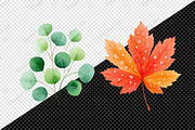 Watercolor Leaves Clipart Set, an Illustration by Creative Art (Thumbnail 9 of 10)