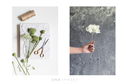 Scandinavian style photo bundle, a Social Media Template by Una Matison (Thumbnail 14 of 21)