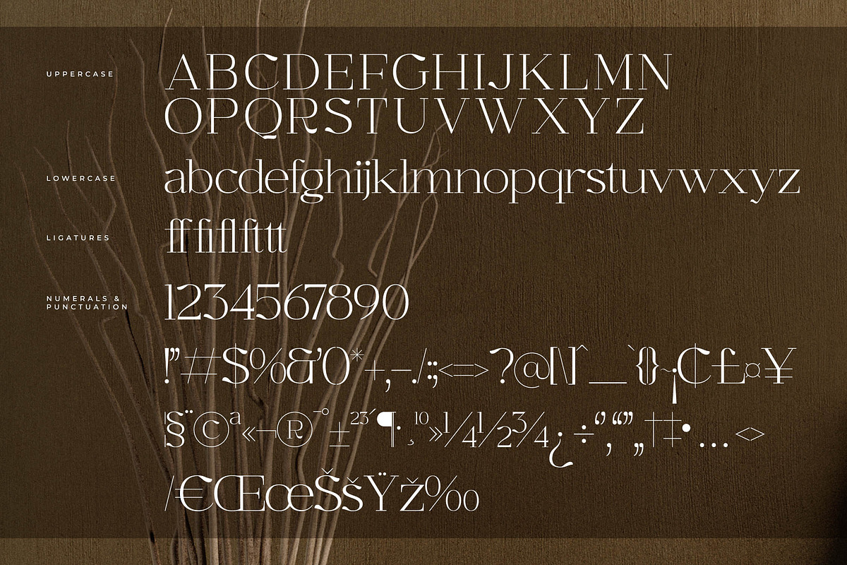 Graflows Modern Font Serif, a Serif Font by Letterena Studios (Photo 13 of 15)