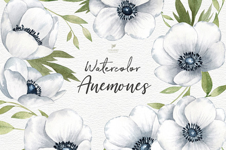 Floral Clipart. Anemones watercolor