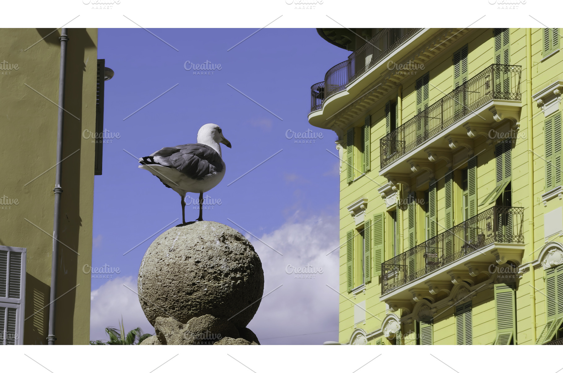 Seagull perched on stone sphere in, an Architecture Photo by Media Whale Stock