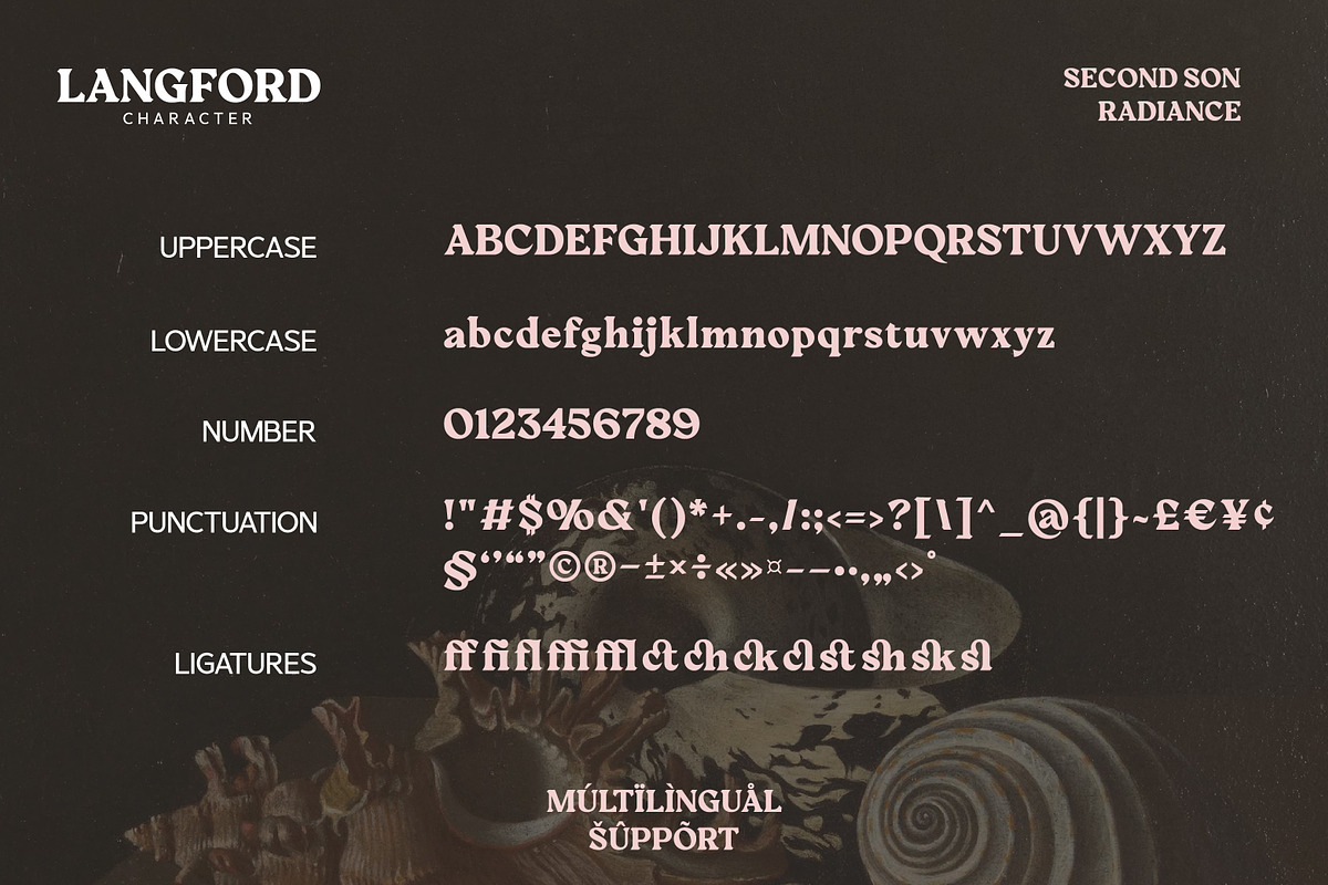 SS Langford - Display Vintage Font, a Serif Font by Typocracy Studio (Photo 12 of 12)