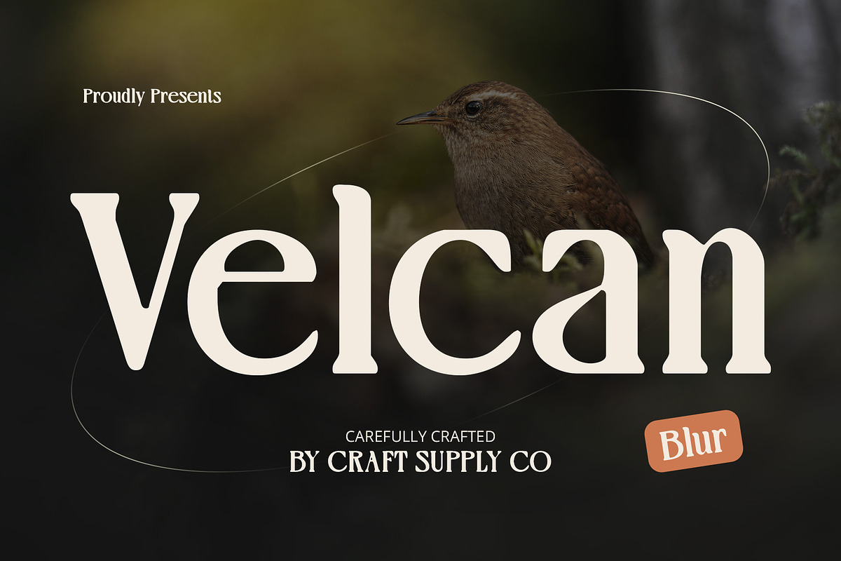 Velcan Blur, a Serif Font by Craft Supply Co. (Photo 1 of 8)