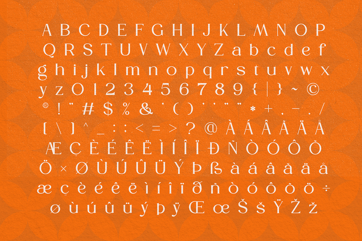 Honera || modern font duo, a Serif Font by ToniStudio (Photo 9 of 12)
