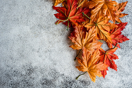 Autumnal frame on concrete background, a Holiday Photo by Anna Bogush
