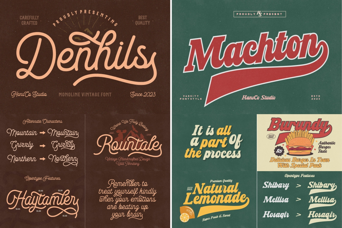 Amazed Vintage Font Bundle - SALE!, a Serif Font by HansCo Studio (Photo 5 of 13)